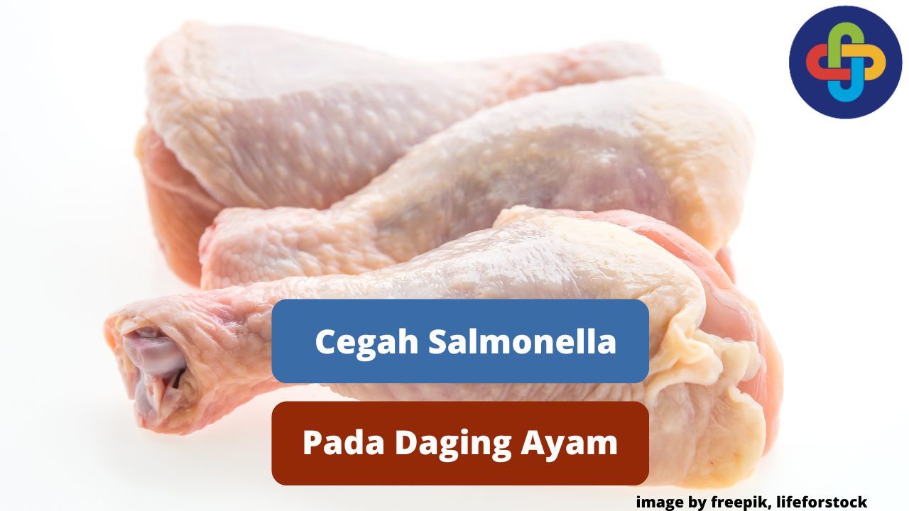 Berikut Cara Mencegah Kontaminasi Salmonella Pada Daging Ayam